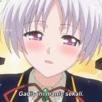 Ojousama Yomeiri Kousou Episode 2 Subtitle Indonesia